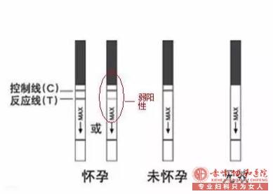 赤峰妇科:如何看早孕?早孕早知道!