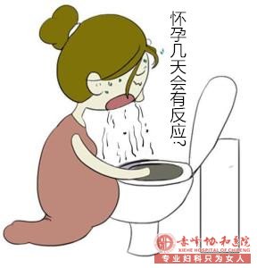��塰���С��͡����١��ֲ��壿���㼸�����ɱ��!