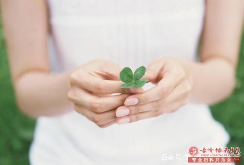 金华喀喇沁旗女性排卵期的避孕常识